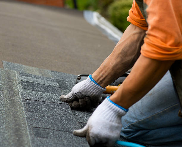 Roof Gutter Cleaning in Andrews, NC